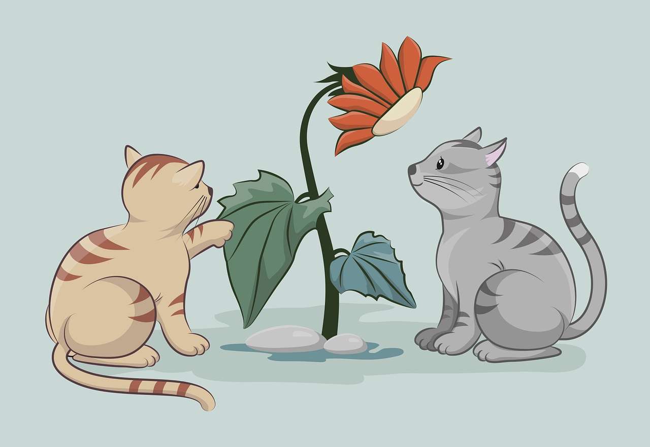 Γάτες που παίζουν με τα λουλούδια online παζλ