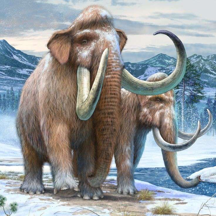 Mammoth Mammoth Pussel online