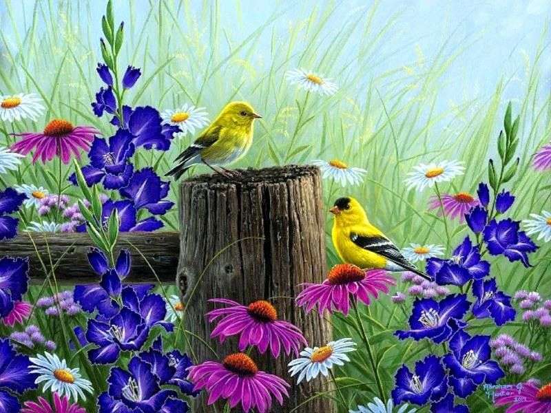 Ptáci mezi květinami online puzzle