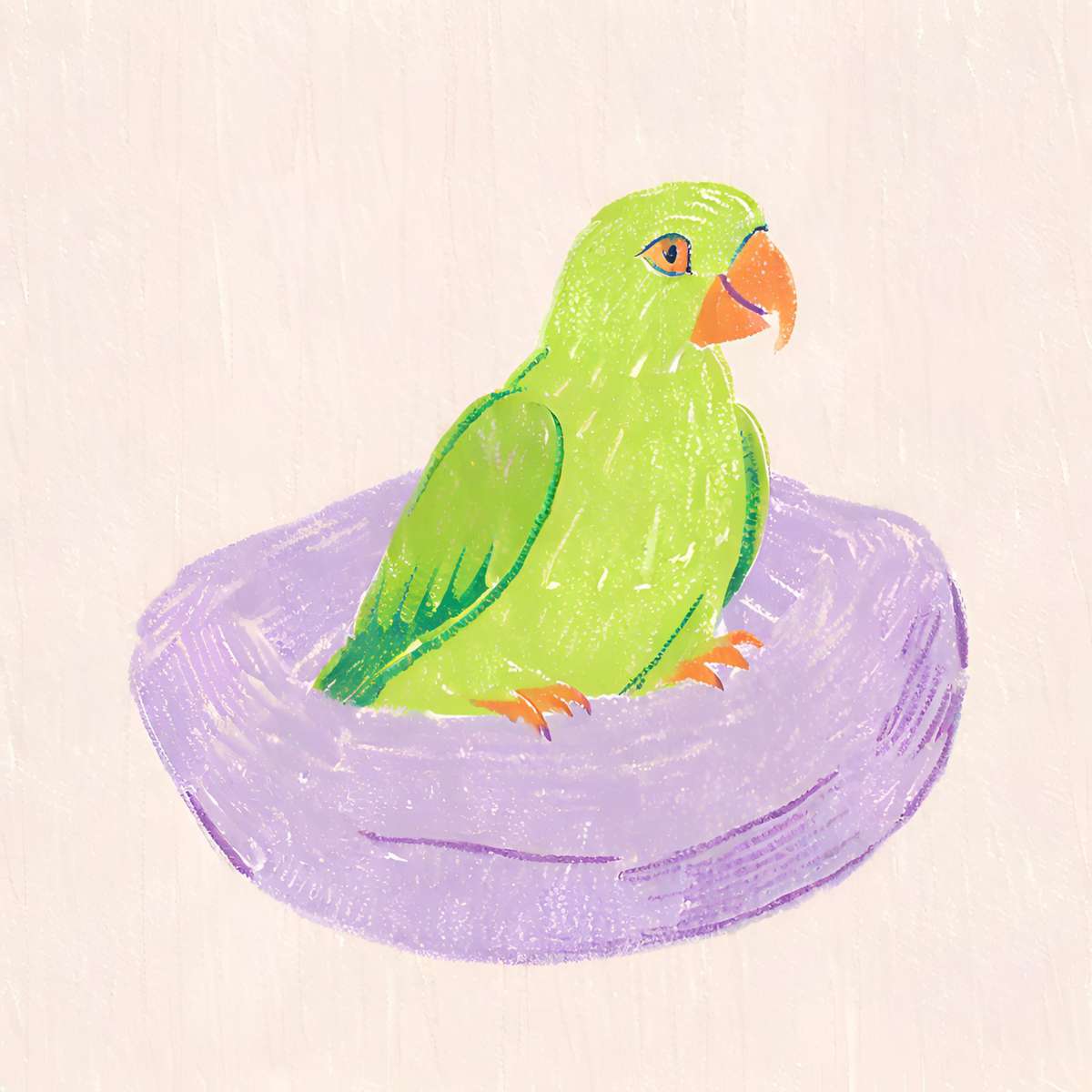 зеленый попугай онлайн-пазл