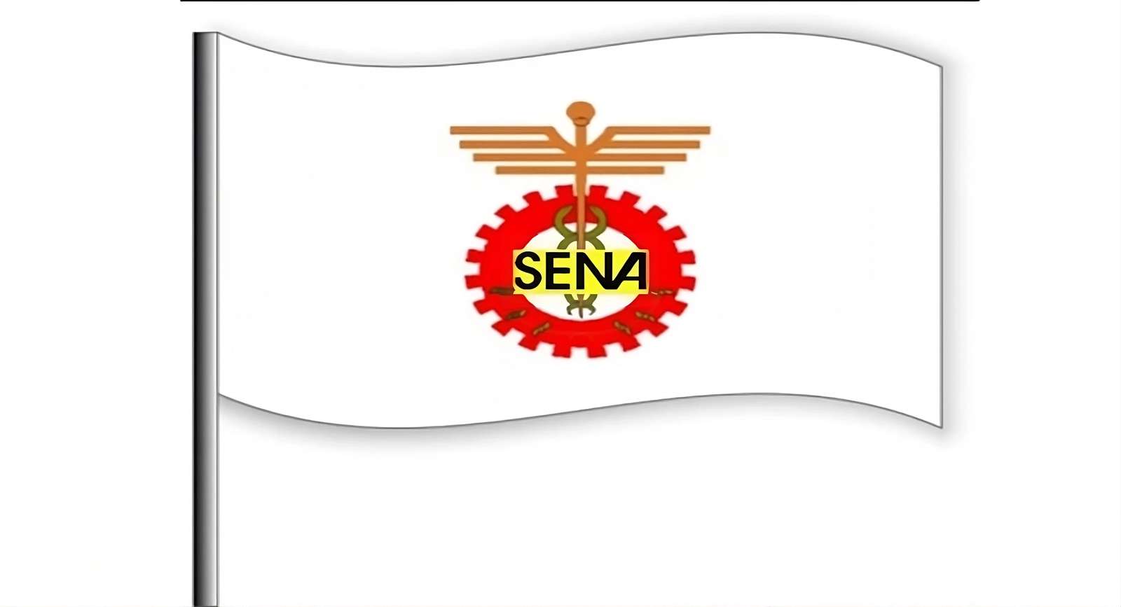 Bandiera della Senna puzzle online