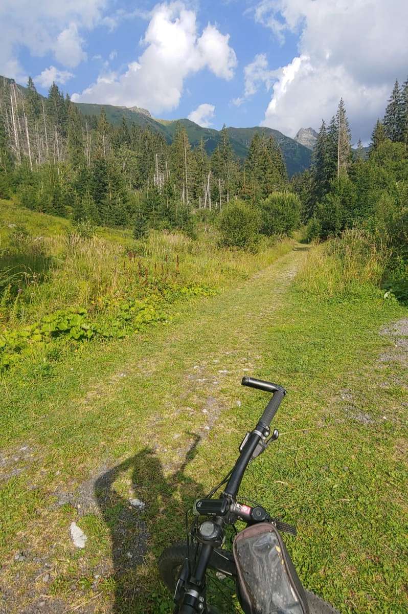 bosques, montañas y bicicleta rompecabezas en línea