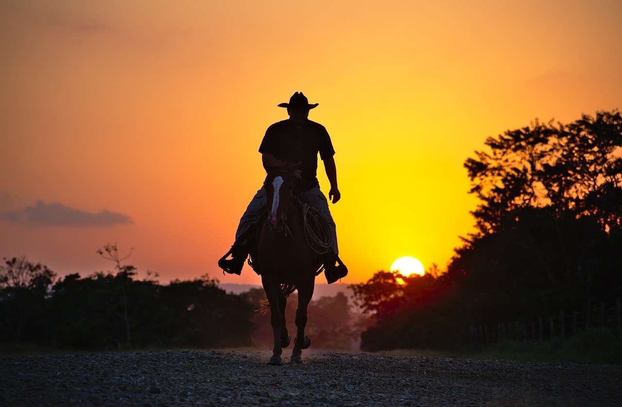 Καουμπόι καβαλάει ένα άλογο παζλ online