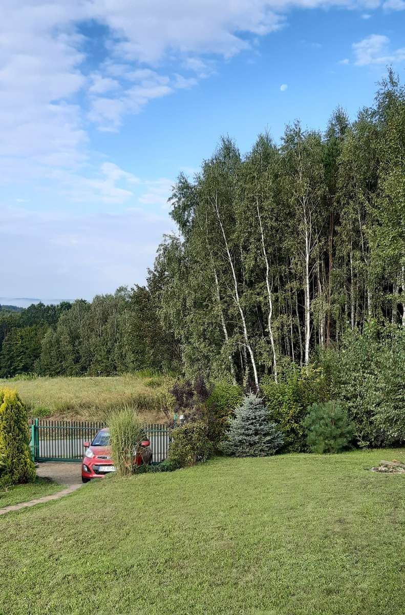 луг ліс небо вид онлайн пазл