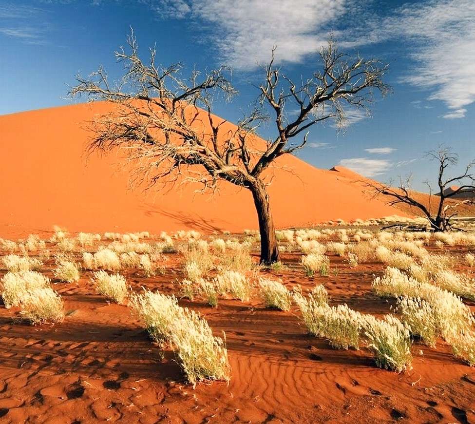 Namibië. Etosha Nationaal Park legpuzzel online