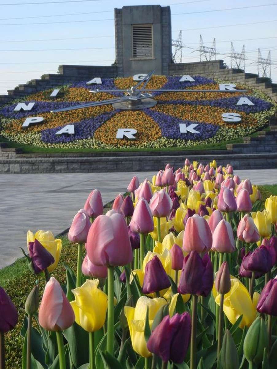 Relógio Floral - Niagara Park - Canadá quebra-cabeças online