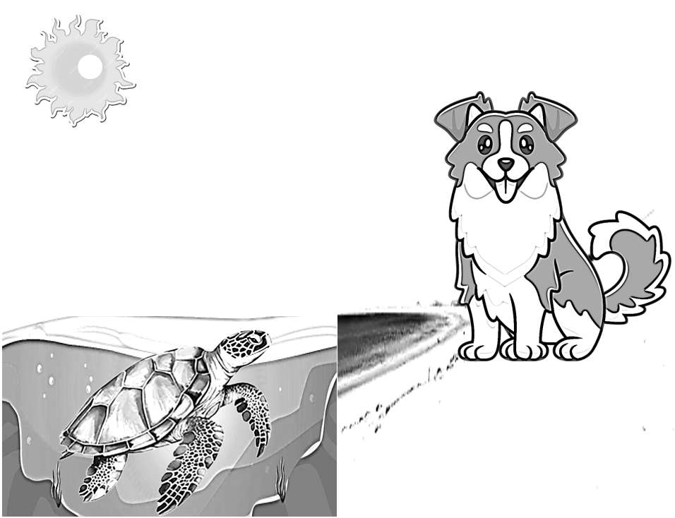 puzzle di tartarughe e cani puzzle online