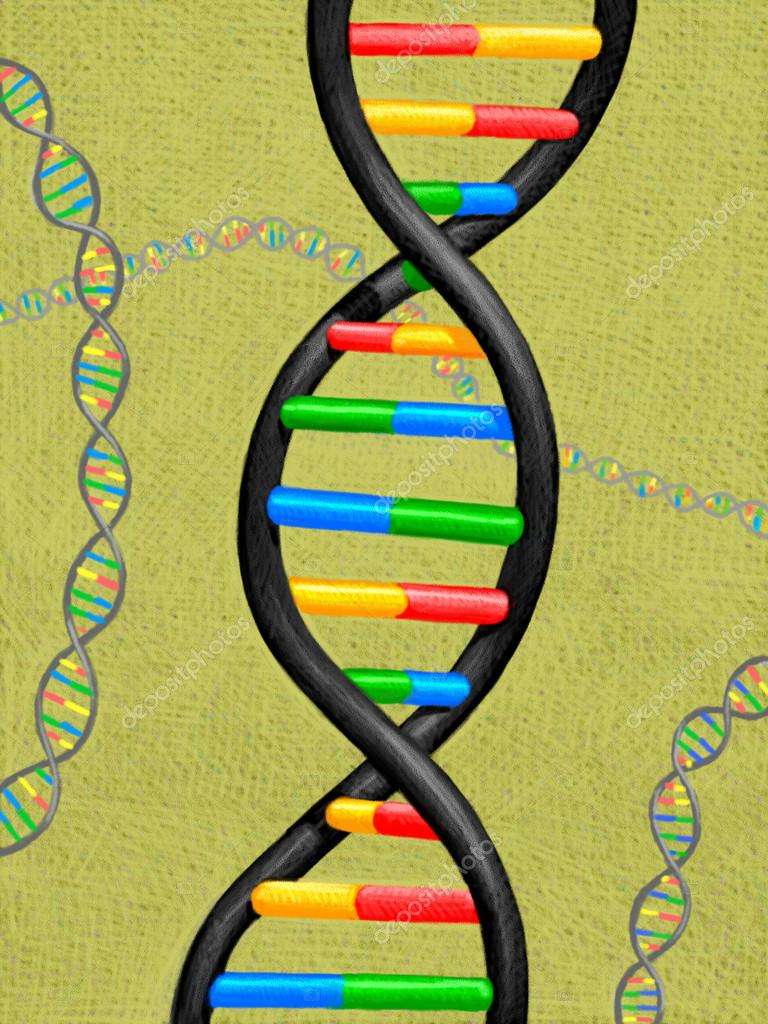 puzzle del DNA puzzle online