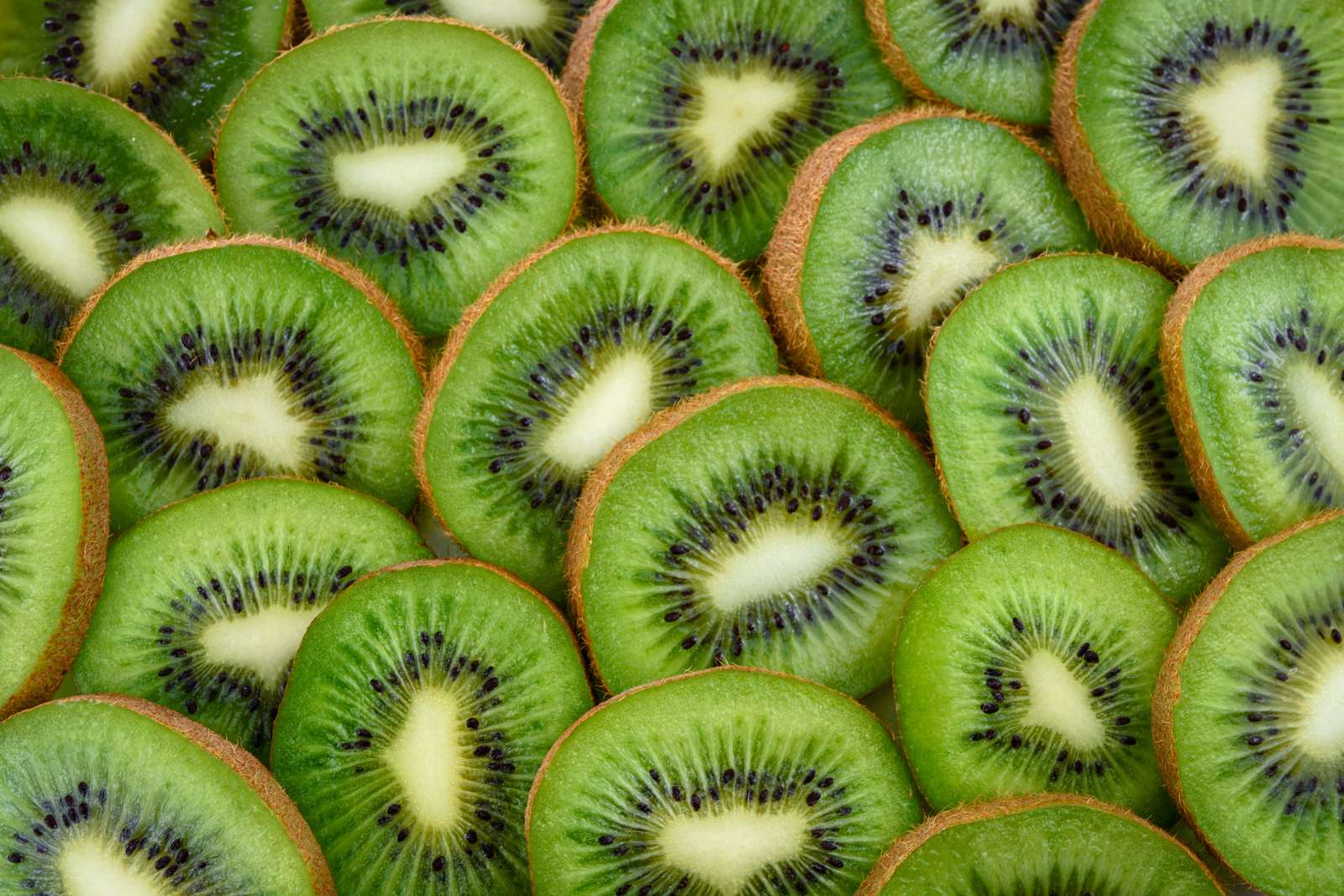 KIWI puzzle en ligne