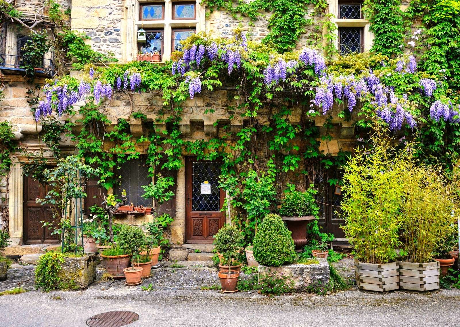 A house decorated with a wisteria vine jigsaw puzzle online