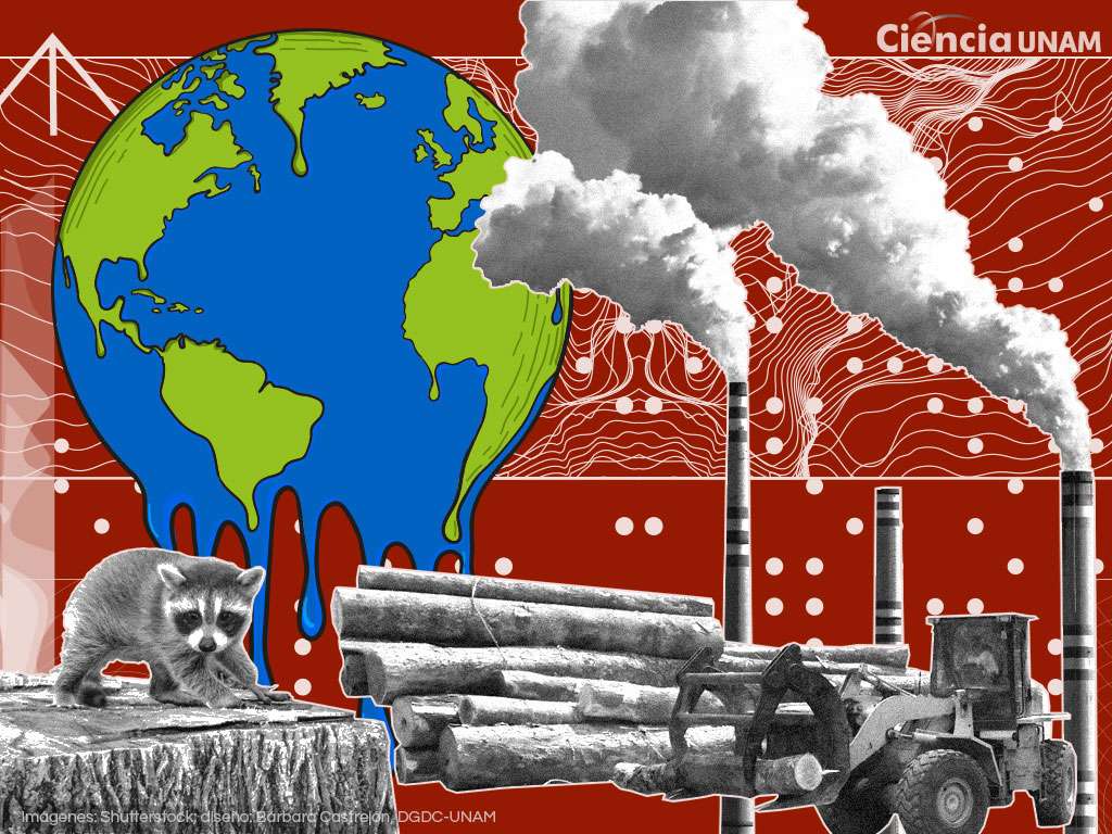 Κλιματική αλλαγή παζλ online