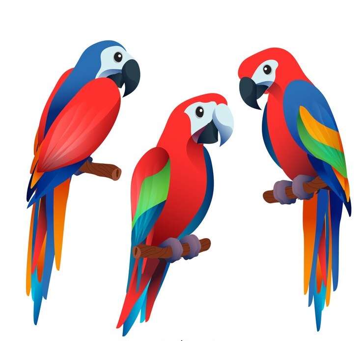 Πολύχρωμοι παπαγάλοι online παζλ