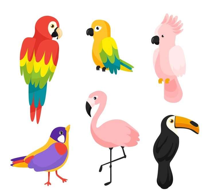 Verschillende vogels legpuzzel online
