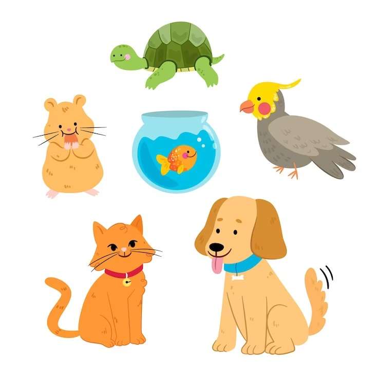 Verschillende huisdieren legpuzzel online