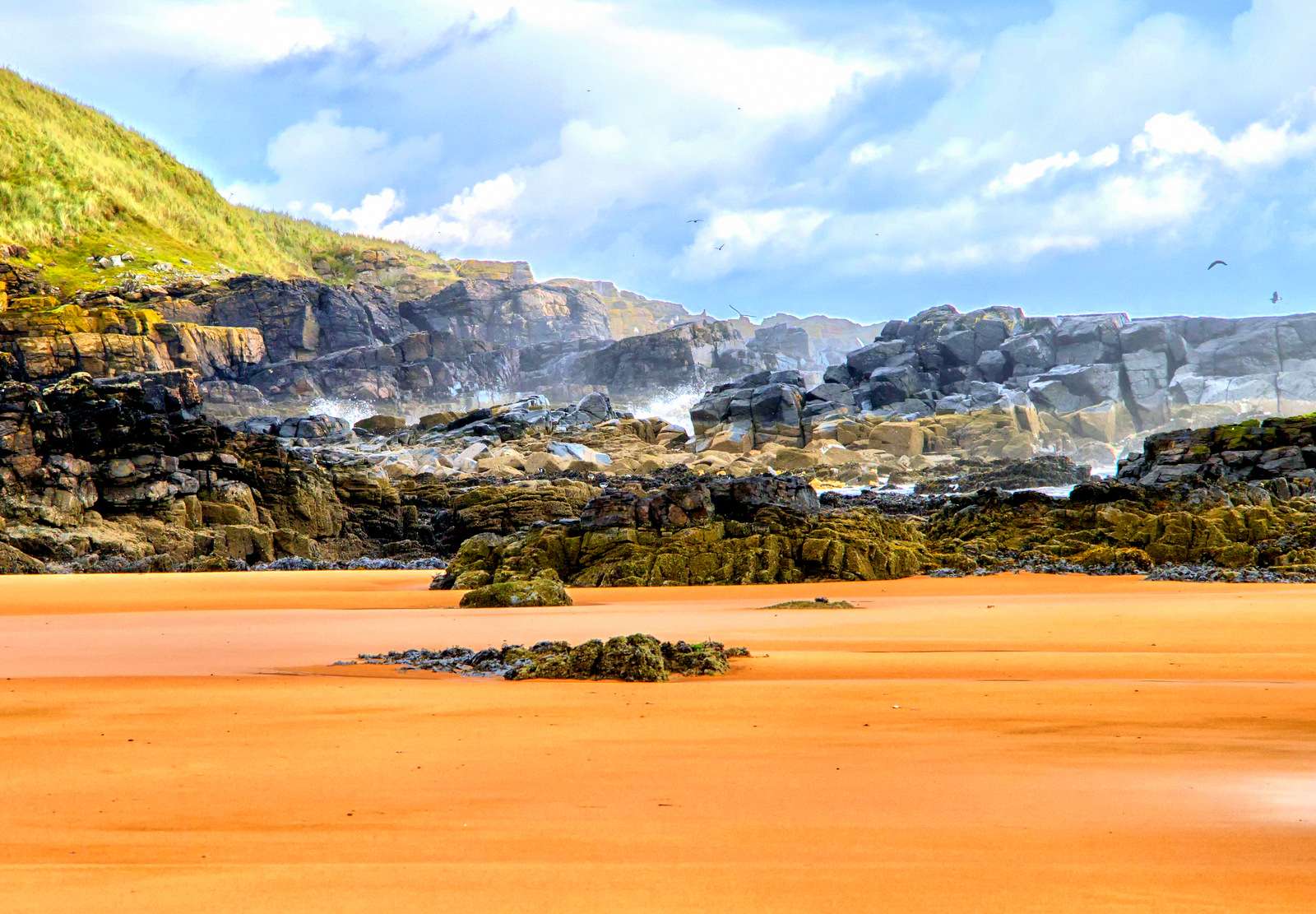 Παραλία Newburgh στη Σκωτία παζλ online
