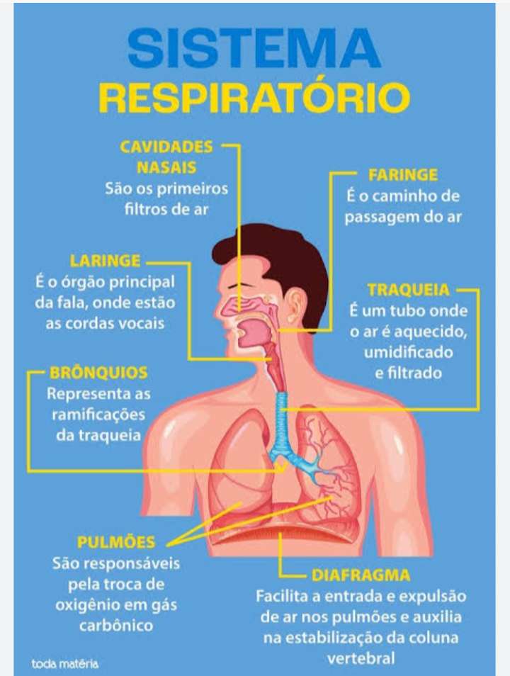 Respiração quebra-cabeças online