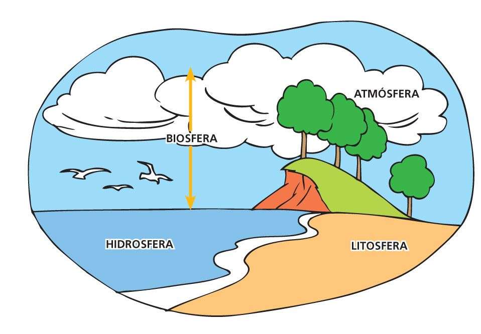 subsisteme jigsaw puzzle online