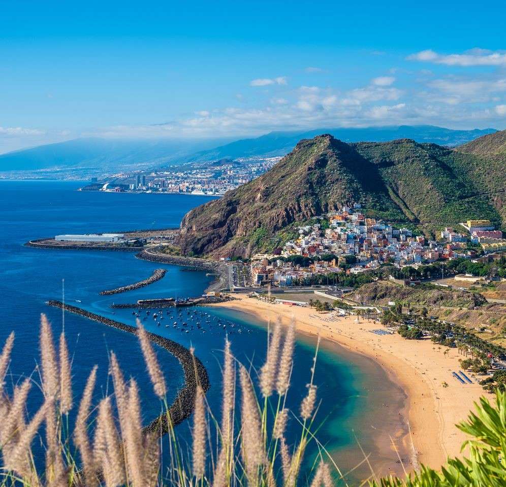 Tenerife - uma ilha diversificada de praias e montanhas puzzle online