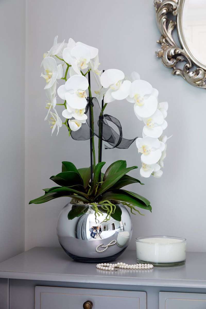 Fehér orchidea online puzzle