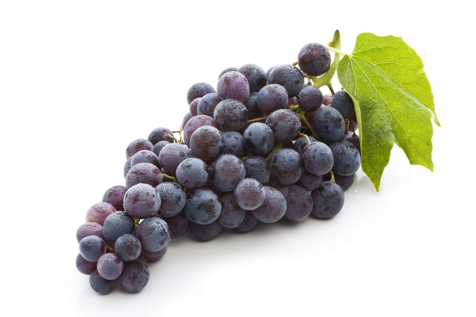 uvas moradas joder ostia puta yaaa rompecabezas en línea