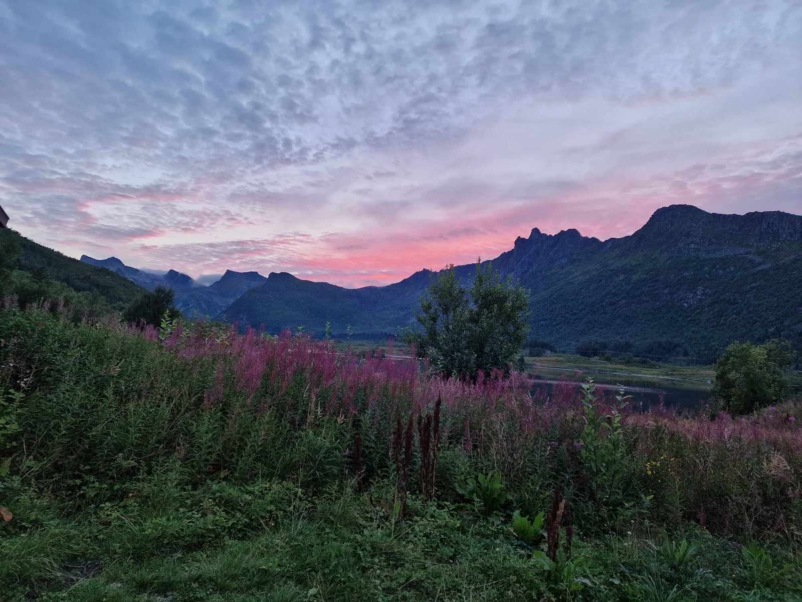 En blommig äng i Norge Pussel online