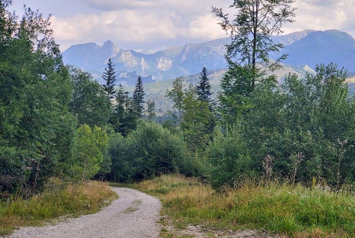 Slowaakse Tatragebergte uitzicht op de bergen online puzzel
