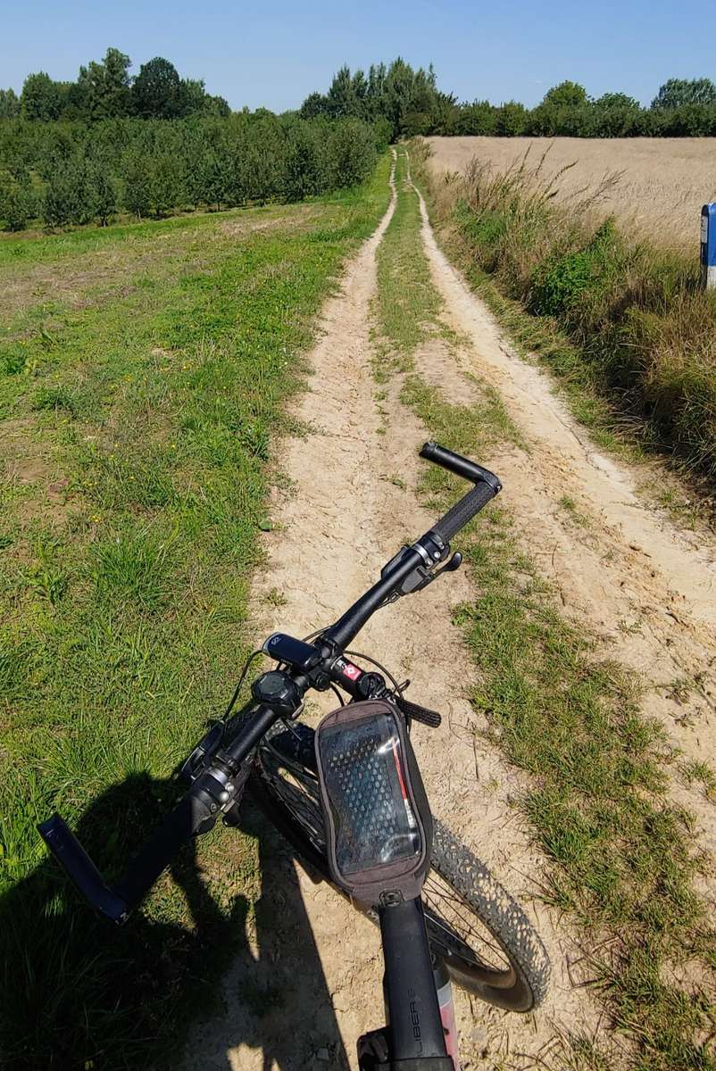 ταξίδι με ποδήλατο στα χωράφια online παζλ