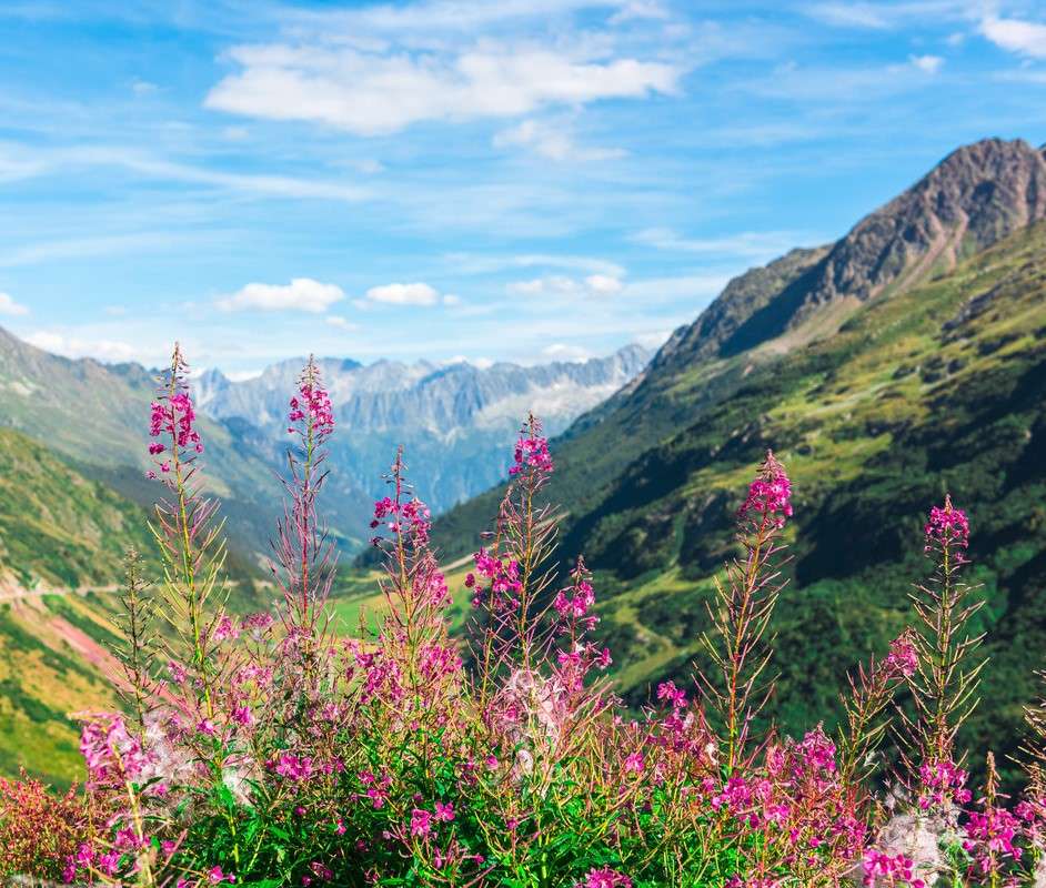 Планини в Швейцария онлайн пъзел