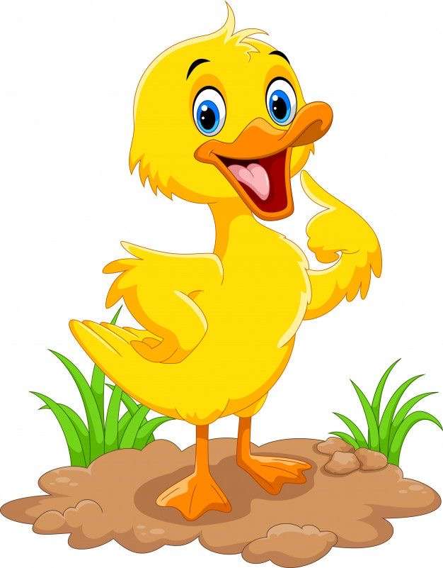 Canard pour les enfants puzzle en ligne