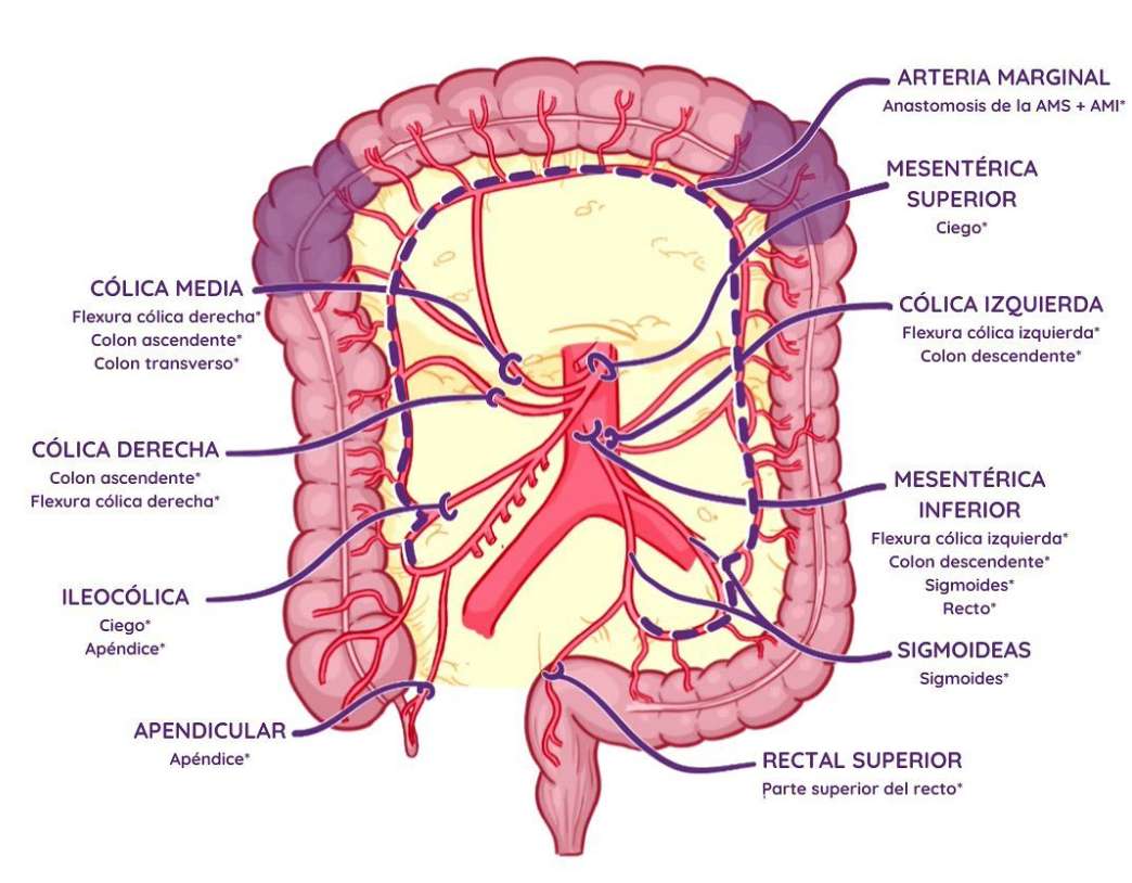 mezenteric puzzle online