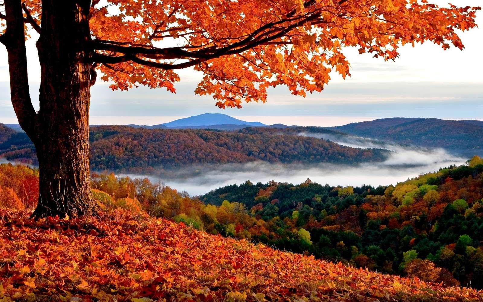 山の秋 ジグソーパズルオンライン