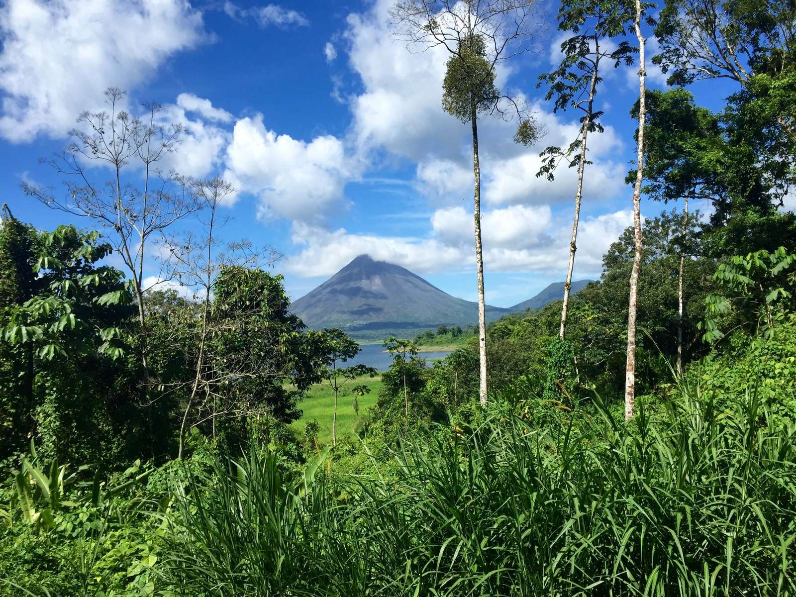 Um vulcão encantador na floresta tropical quebra-cabeças online