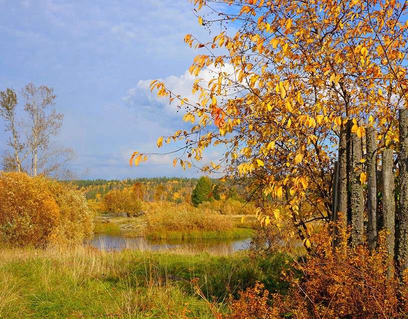 Höstens charm i naturen pussel på nätet