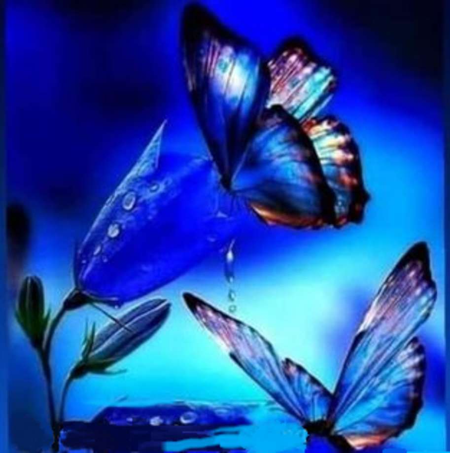Lyoder uitziende kever op blauwe vlinder online puzzel