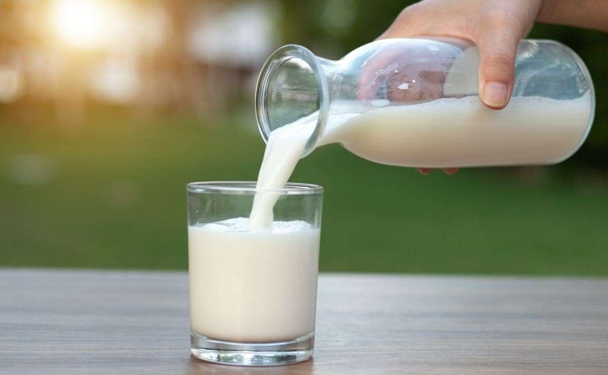 puzzle di latte al latte puzzle online