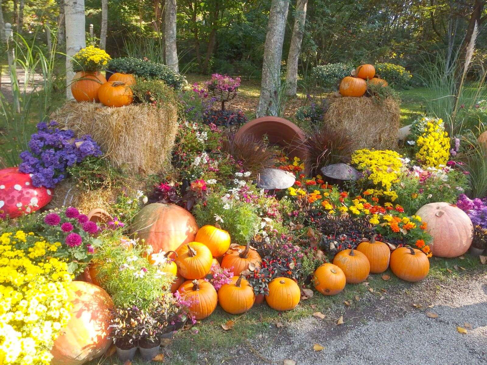 Autumn decoration in the garden jigsaw puzzle online
