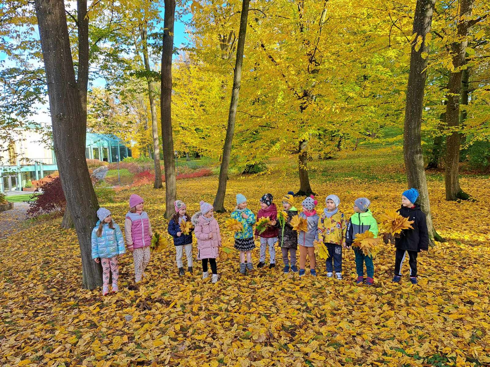 Herbstspaziergang einer Gruppe 5-Jähriger. Online-Puzzle