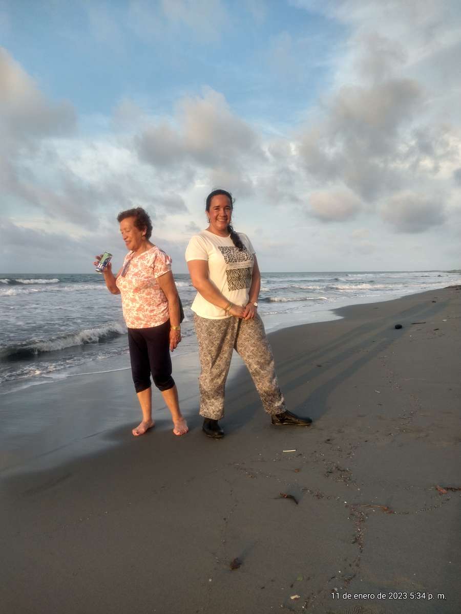 EN LA PLAYA rompecabezas en línea