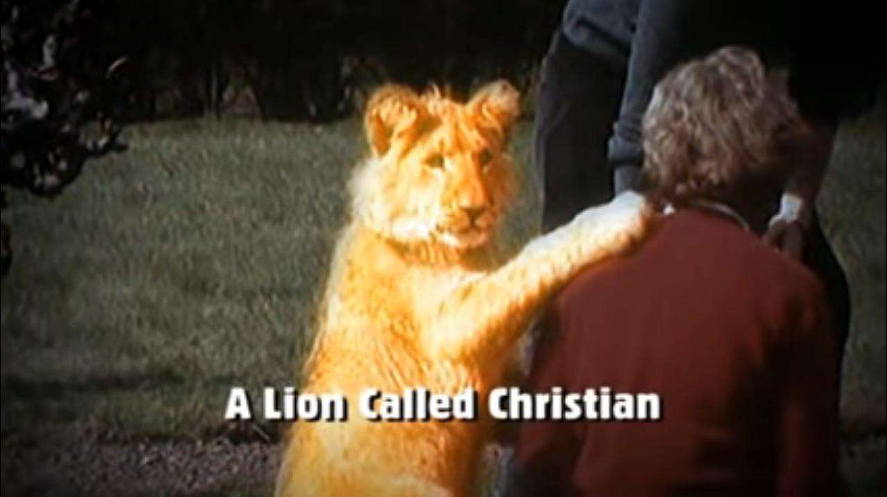 λιοντάρι χριστιανός παζλ online