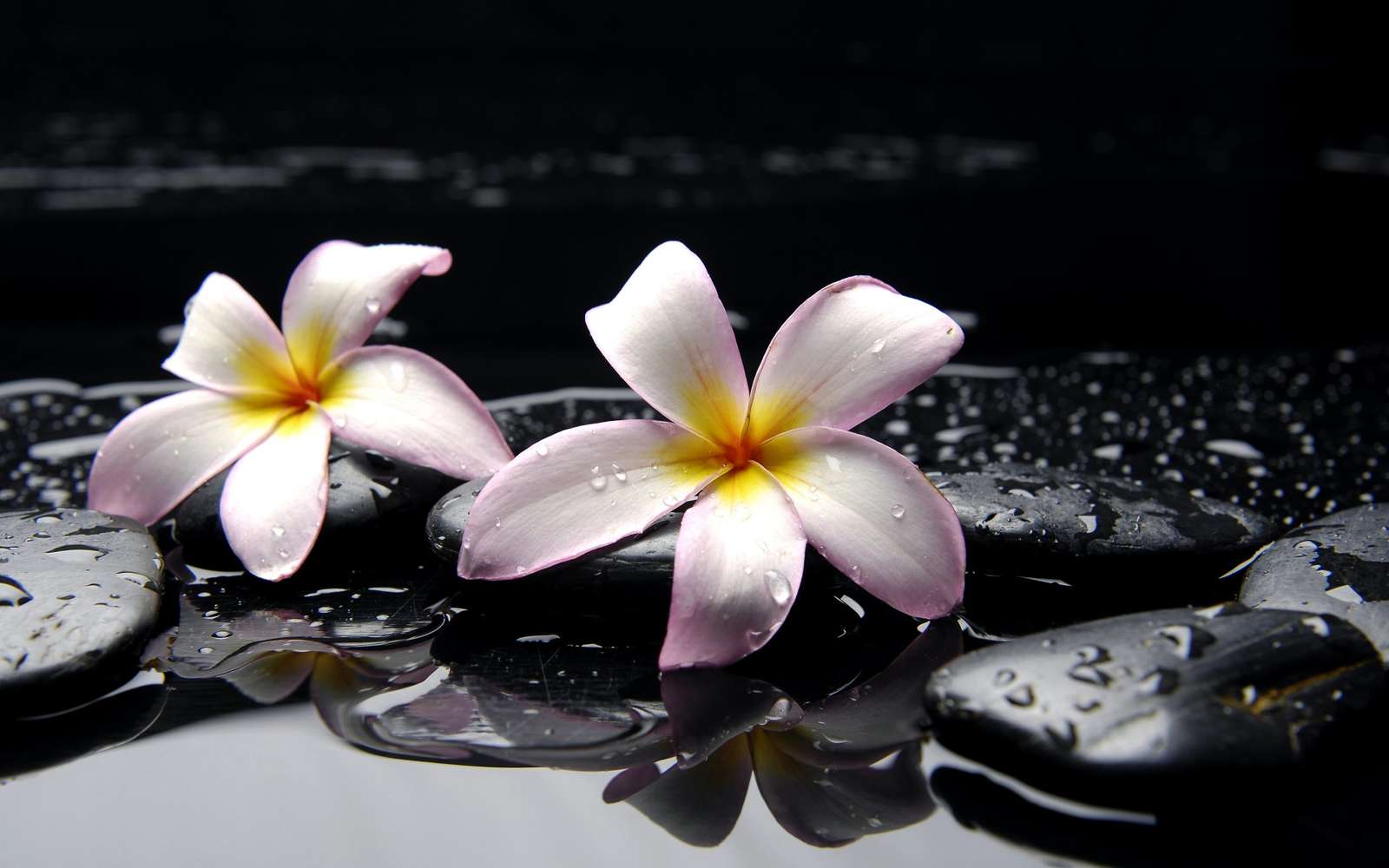 Zen virágok és kövek online puzzle