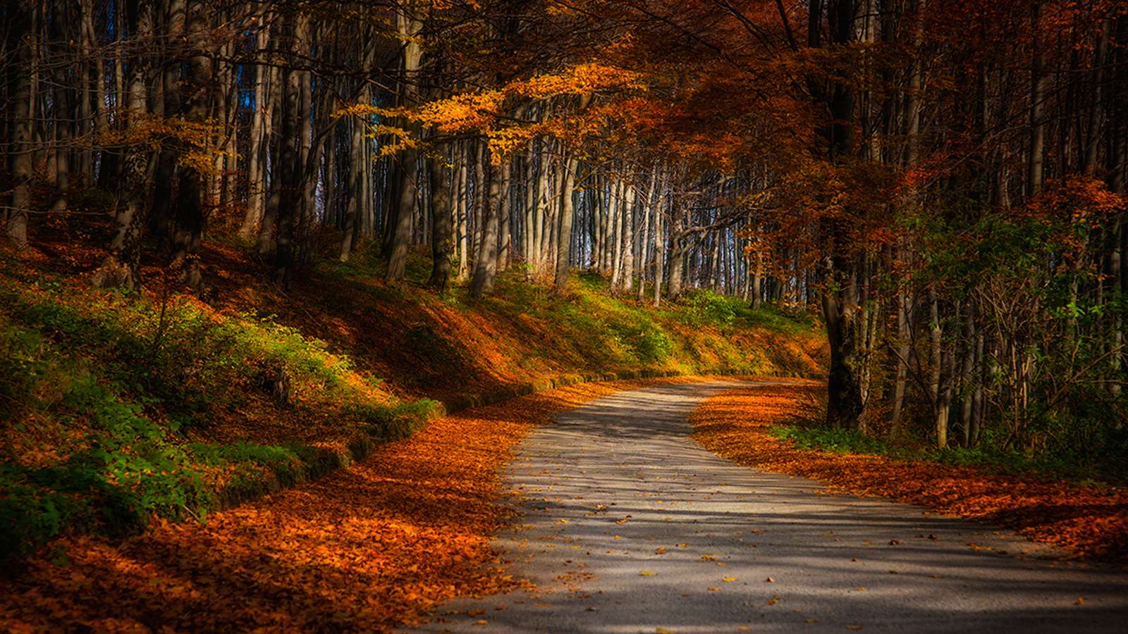 есенна гора онлайн пъзел