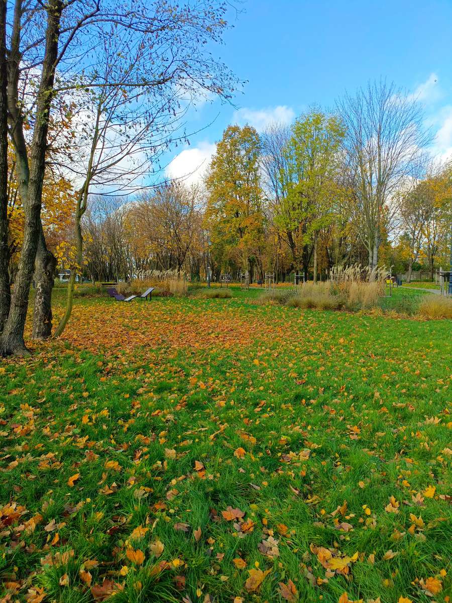 Otoño en el parque Zgierz rompecabezas en línea