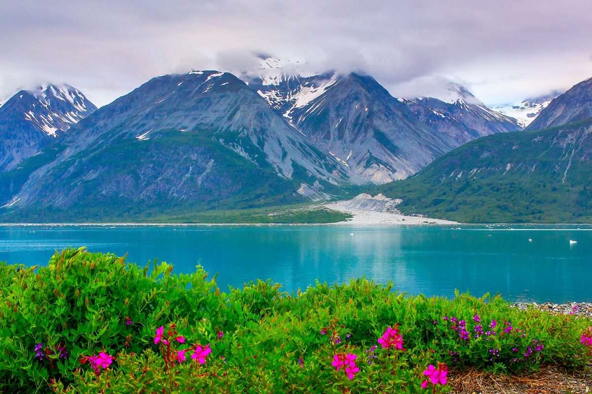 Alaszka Nemzeti Park online puzzle