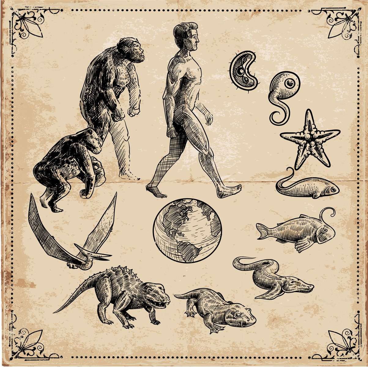 Teoria de Darwin puzzle online