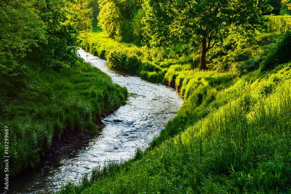 arroyo en el parque en primavera rompecabezas en línea