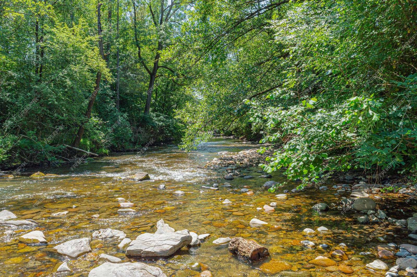 ruisseau dans la forêt puzzle en ligne