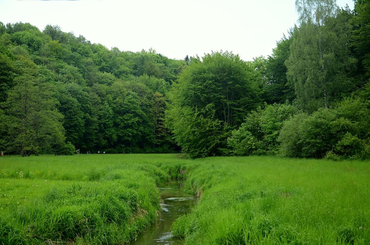 小川、川 オンラインパズル