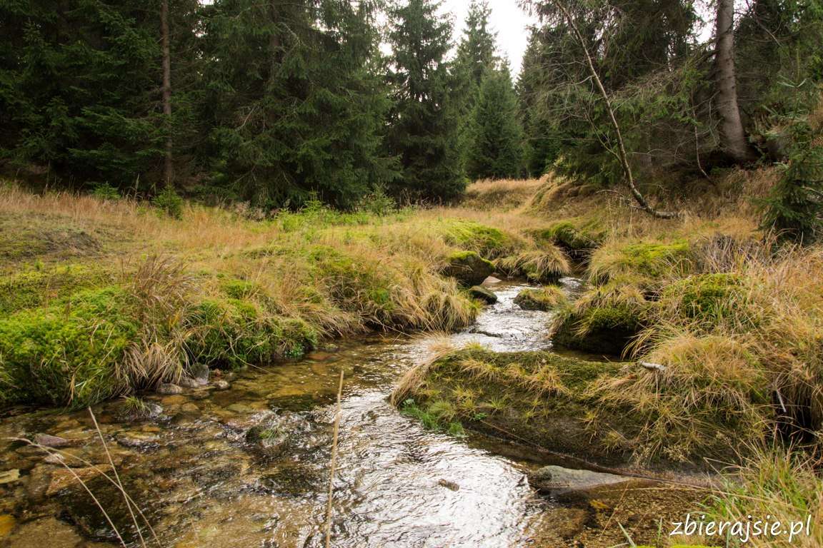 Montañas de jizera rompecabezas en línea