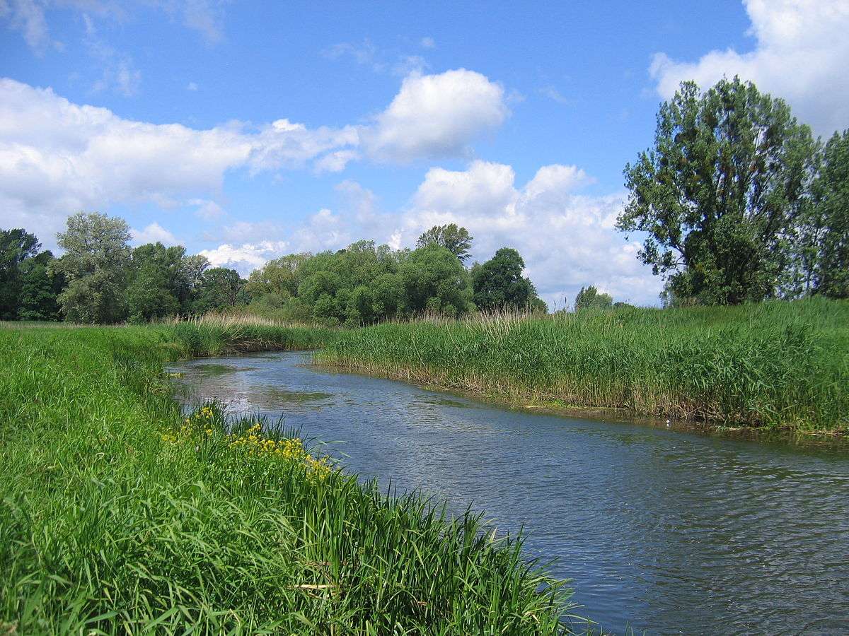 Río Widawa rompecabezas en línea