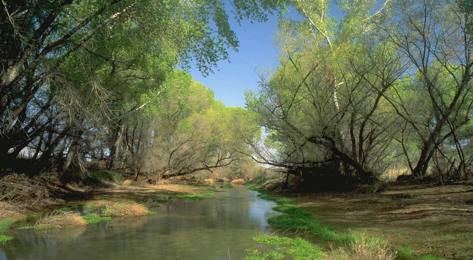 Río San Pedro, Arizona rompecabezas en línea